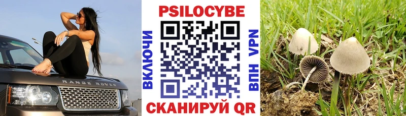 Псилоцибиновые грибы прущие грибы  Каргат 